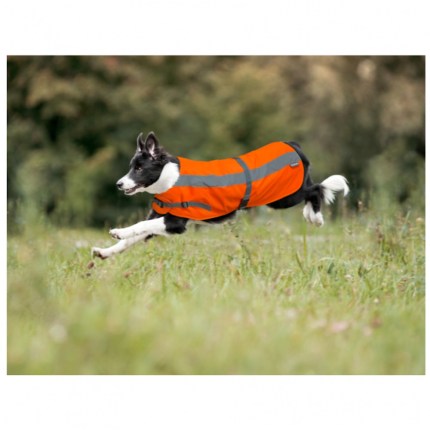 Orange flecta coat.jpg